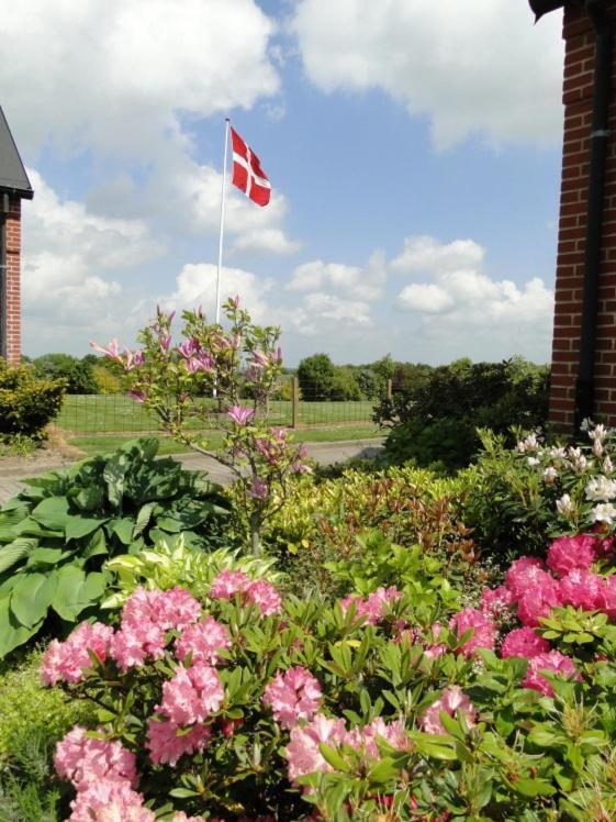 Lyngvej 16 B&B Skanderborg Kültér fotó