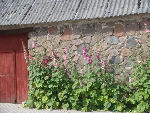 Lyngvej 16 B&B Skanderborg Kültér fotó