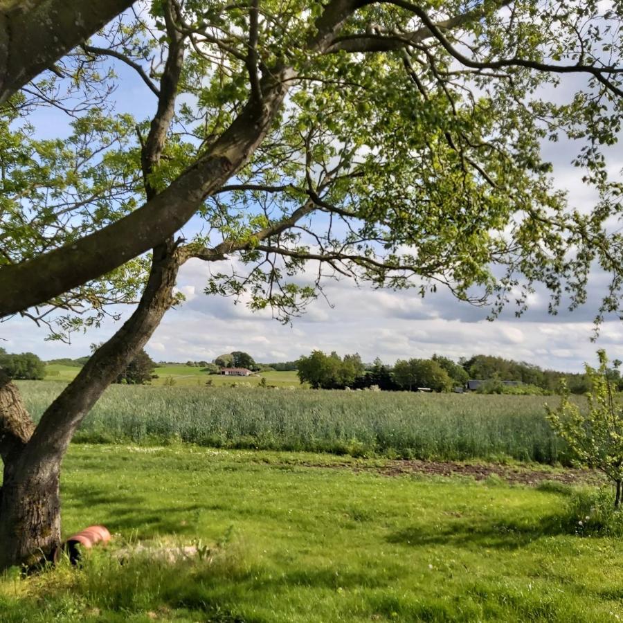 Lyngvej 16 B&B Skanderborg Kültér fotó